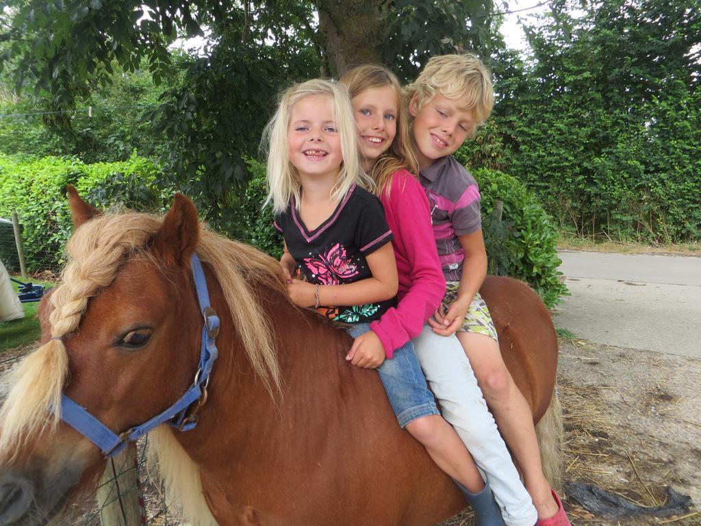 Boerderijcamping Plantlust فيري الغرفة الصورة